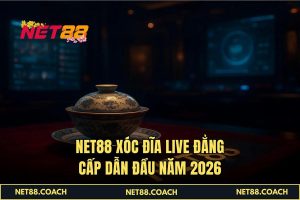 NET88 Xóc Đĩa Live đẳng cấp dẫn đầu năm 2026
